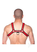 Prowler Red Bull Harness Blk/red Lg