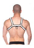Prowler Red Bull Harness Bk/wht Sm(disc)