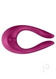 Endless Joy Berry(disc)