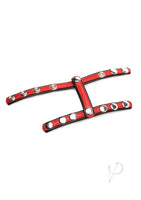 Cg Leather Snap-on Harness Red