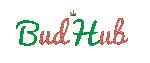 BUD HUB DELIVERY