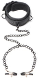 Collared Temptress Collar With Nipple Clamps