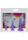 Crystal Jellies Anal Initiation Kit Purp
