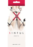 Sinful Bondage Hogtie